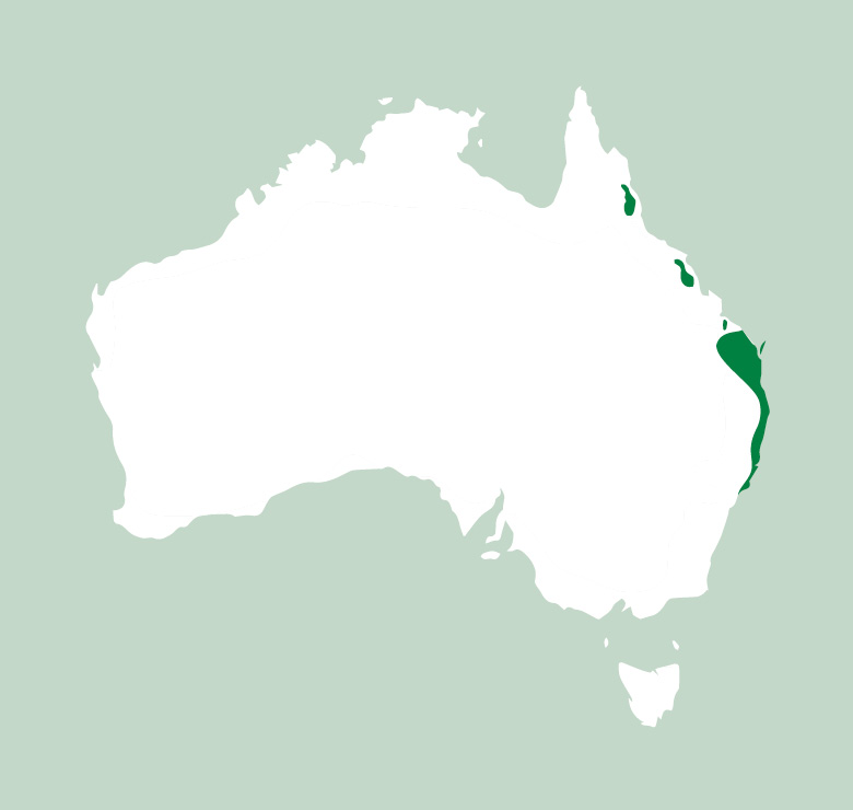 Map of Aus TGF4