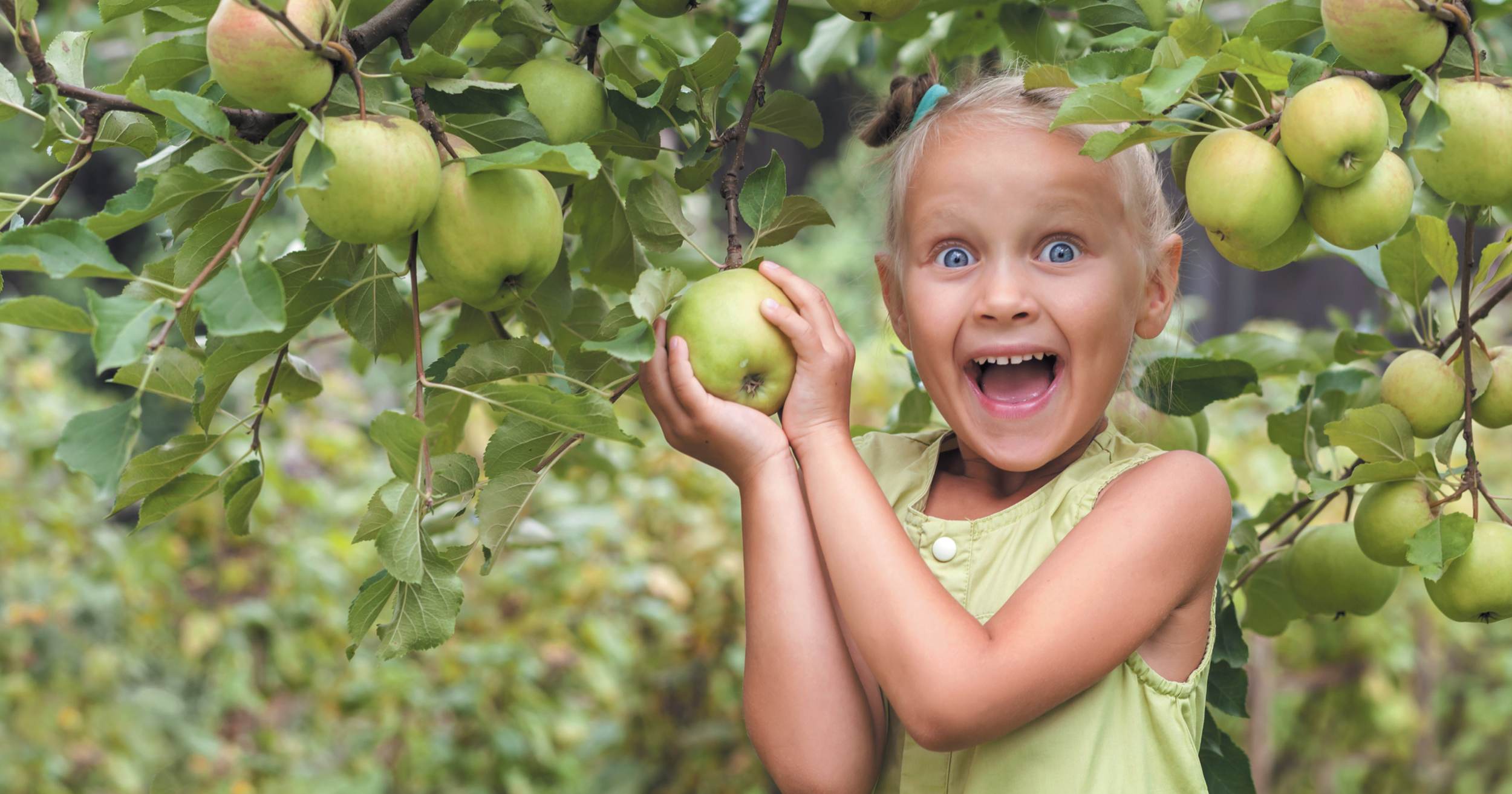 Fruit Trees