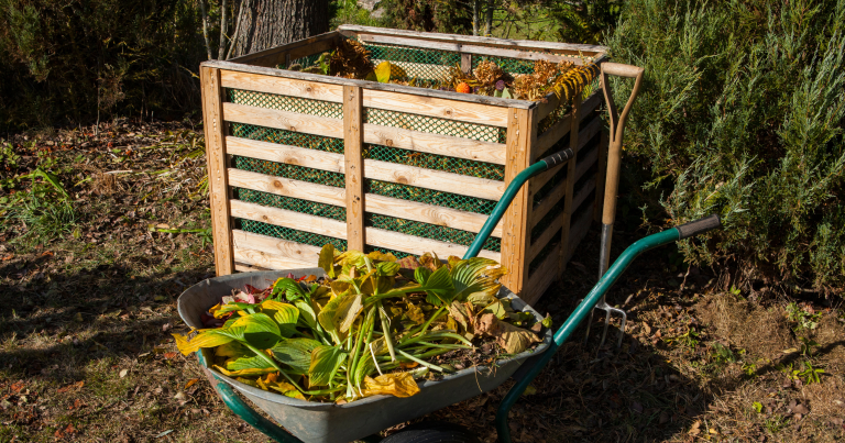 compost bin